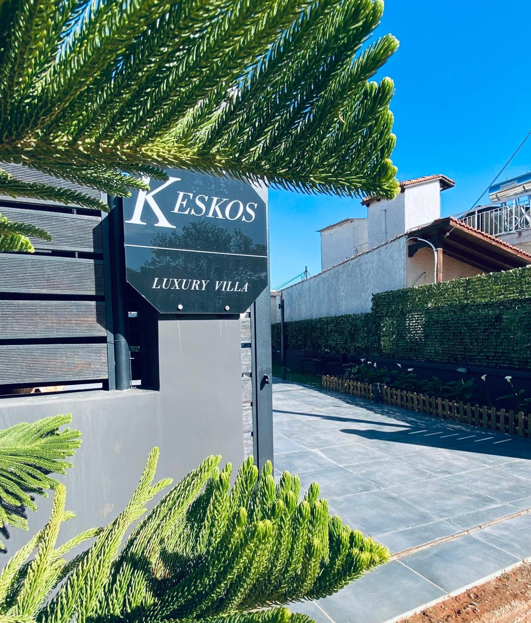 Keskos Luxury Villa アルテミダ エクステリア 写真